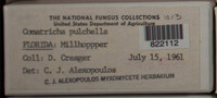 Image Associated With the Occurence